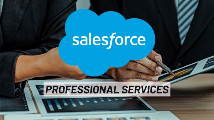 Salesforce Professional Services