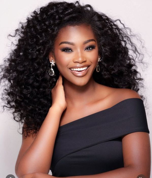 TapeIn Hair Extensions Human Hair Soft, Silky Reusable