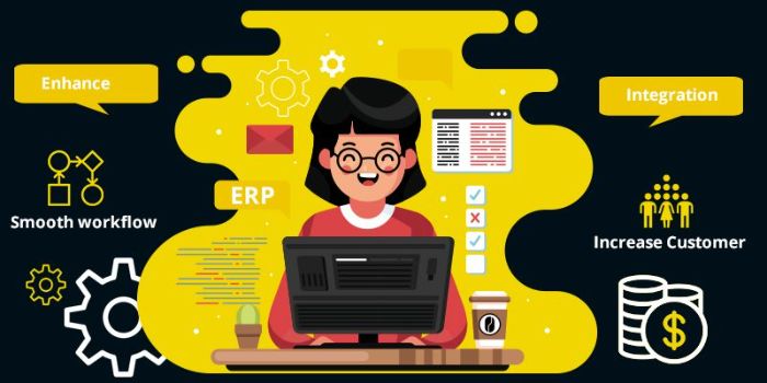 ERP software development Dubai