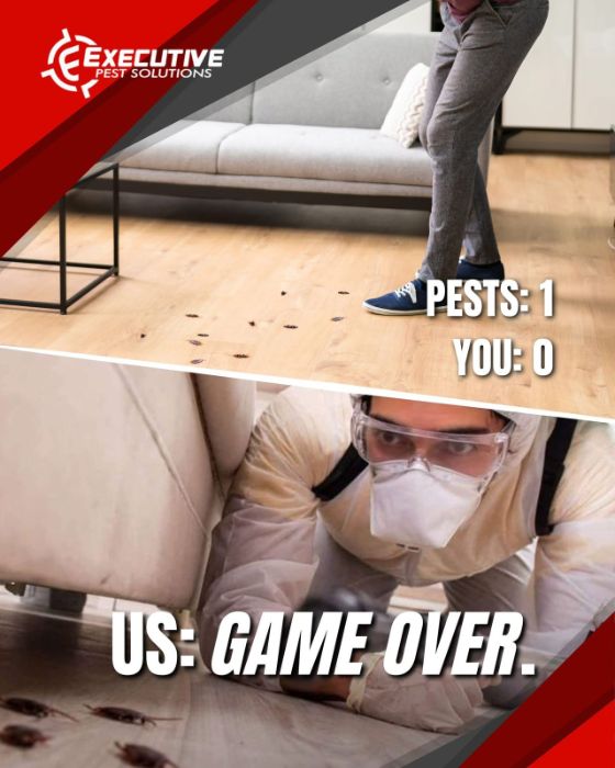 Executive Pest Solutions