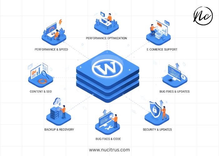 Wordpress Support Services in usa