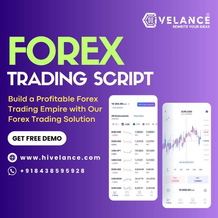 Get Your Forex Clone Script at Low Cost
