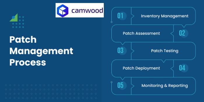 Patch Management Cam Wood