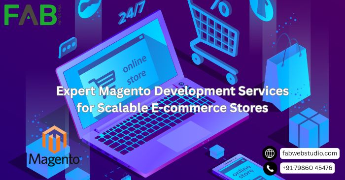 Professional Magento Development Services for Scalable Ecommerce Solutions