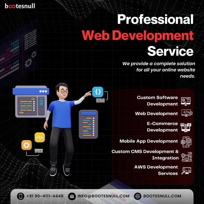 Professional Web Development Services by Bootesnull