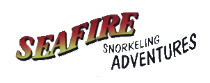 Seafire Charters