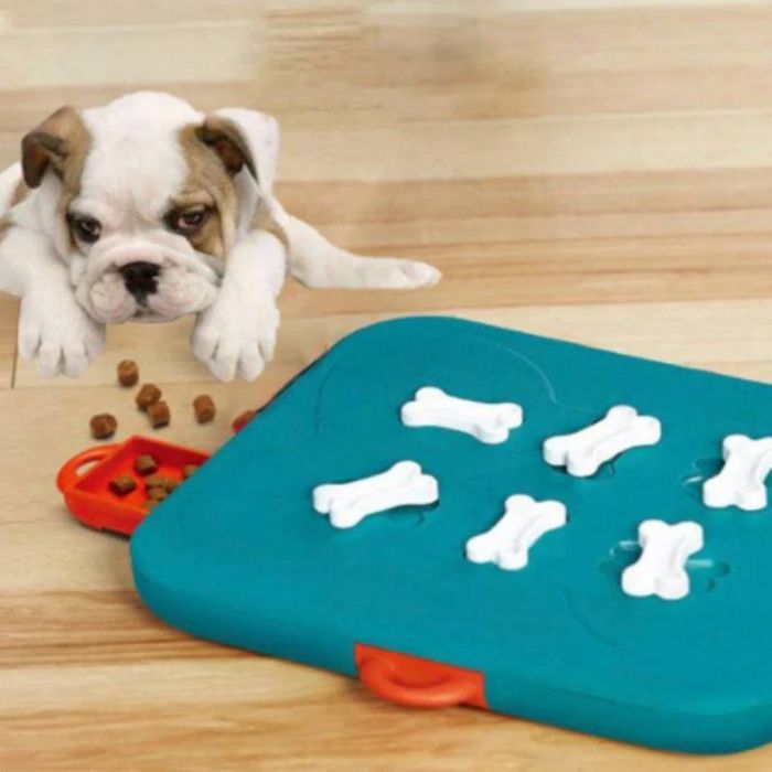 Slow Feeder Bowls Dog Feeders Puzzle Dog Bowls for Mealtime Fun