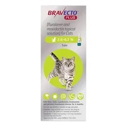 Bravecto Plus for Cats LongLasting Flea Tick Protection