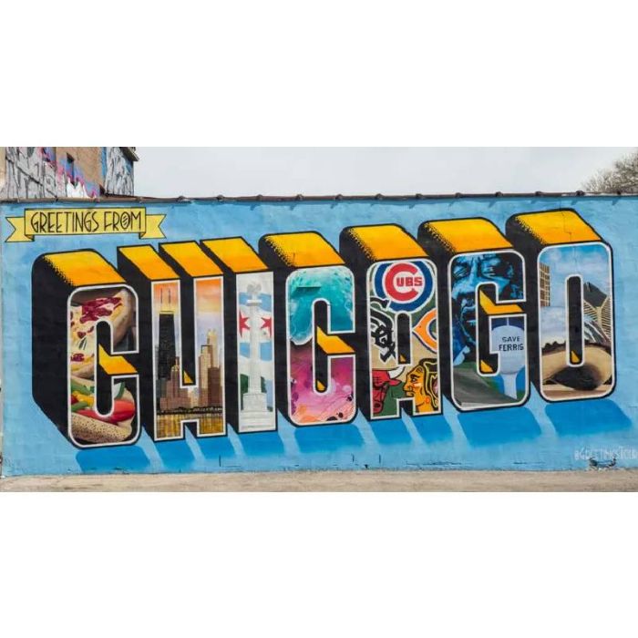 Buy Colorful Art by Local Chicago Artists Shopping Guide 2025 Lizzie Selle Studio