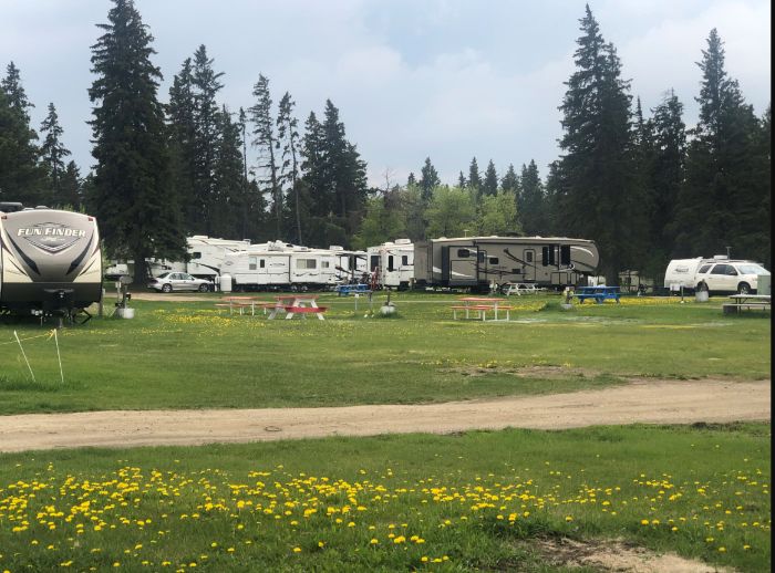 Finding the best Camping Services? Here it is
