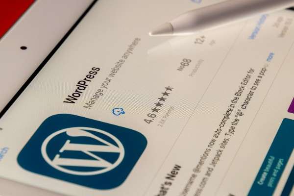 Get a Stunning WordPress Website That Converts