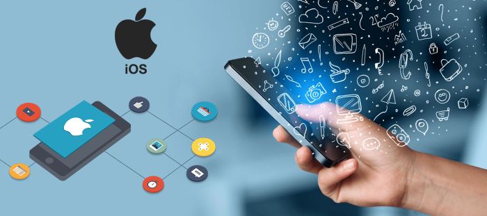 Hire Skilled iOS App Developers Octal IT Solution