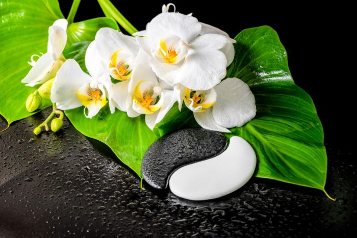Acupuncture Therapy in Millbrae, Ca