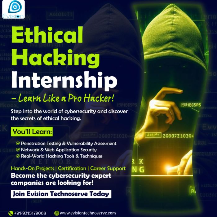Ethical Hacking Internship Learn Like a Pro Hacker Evision Technoserve