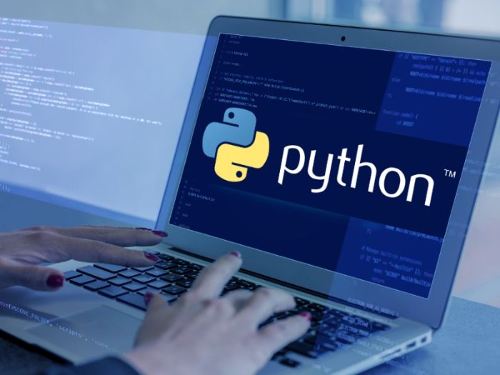 Hire Python Developers
