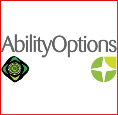 Ability Options