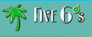 Five 6s