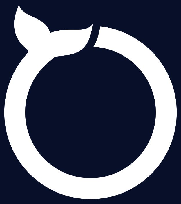 Mobile App Development Company in Houston Software Orca