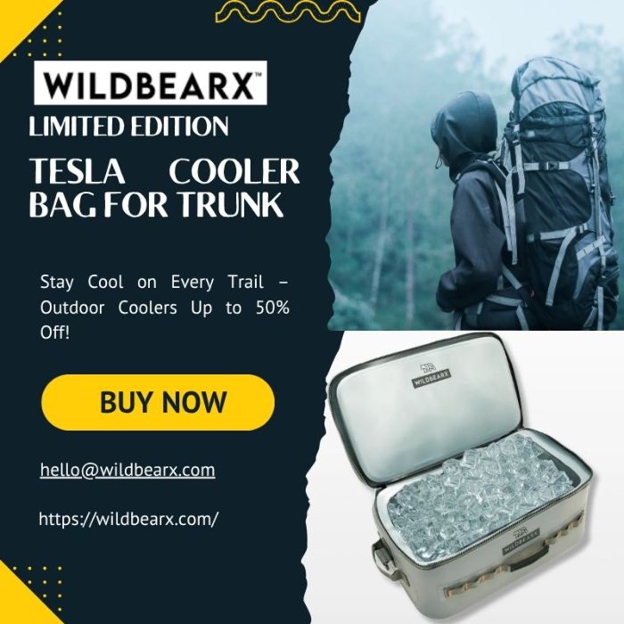 Tesla Cooler Bag for Trunk