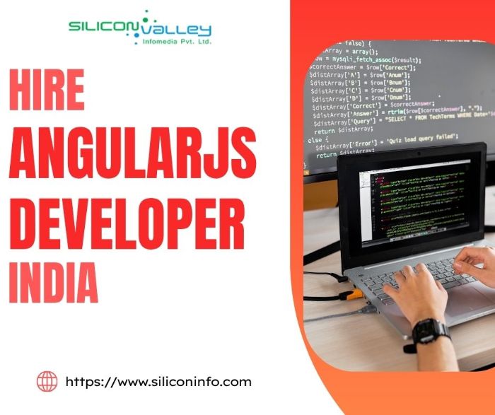 Angularjs Programming india,AngularJs Web Application Developers