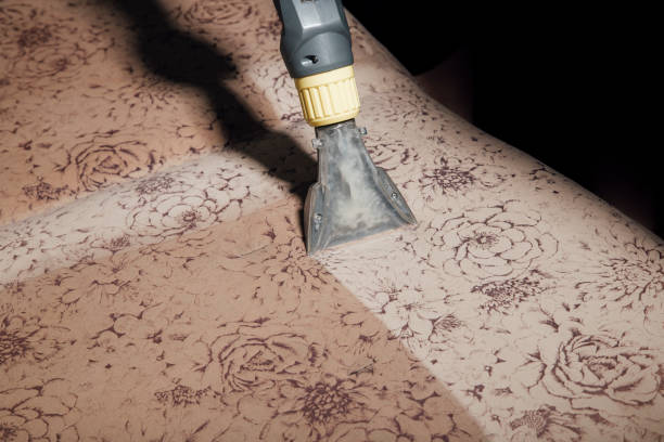 Expert Couch Cleaning Services in Eltham Squeaky Clean Sofa