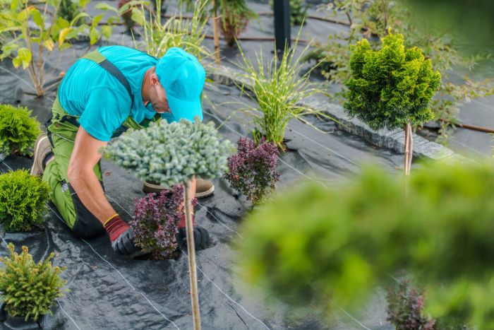 Get Professional Lawn Fertilization Services.