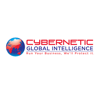 Professional Web Application Security Auditors for Robust Protection