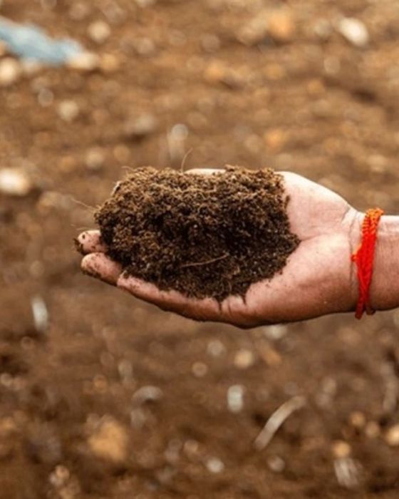 Coco Coir Substrate