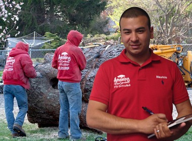 Flexible Tree Removal Financing in NJ Amazing Tree Services