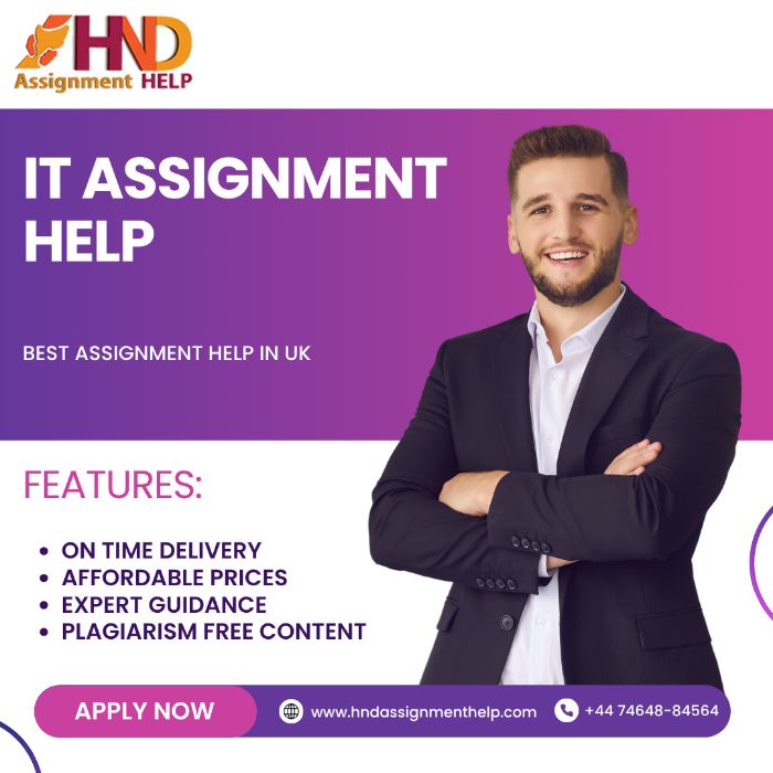 IT Assignment Service
