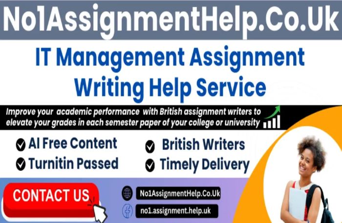 IT Management Assignment Help by No1AssignmentHelp.Co.UK