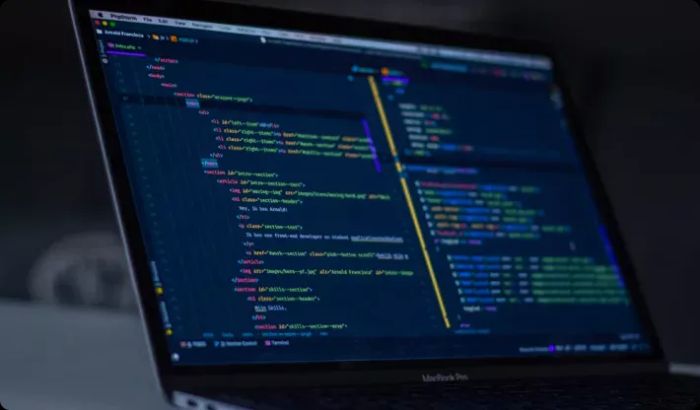 Pennine Technolabs Custom Web Development Solutions From India