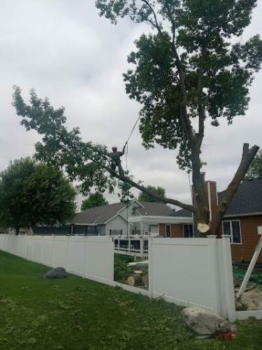 Salina Tree Pros Salina Tree Pros