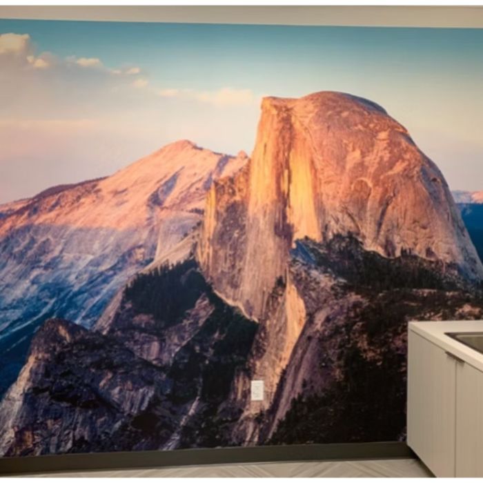 Wallpaper Services
