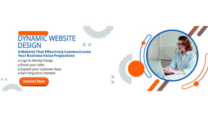 Web Software Development