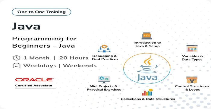 Certified Java Programmer 1to1 Training ( Online)