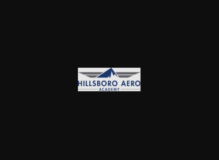 Helicopter Pilot Training Cost