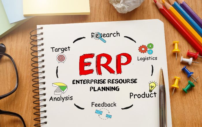 Implementing MRPIIERP Successfully 1Day Course