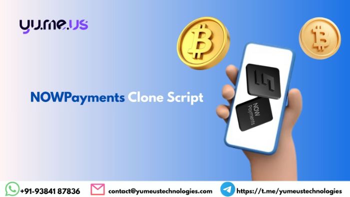 NOWPayments Clone Script For MultiCrypto Payments!