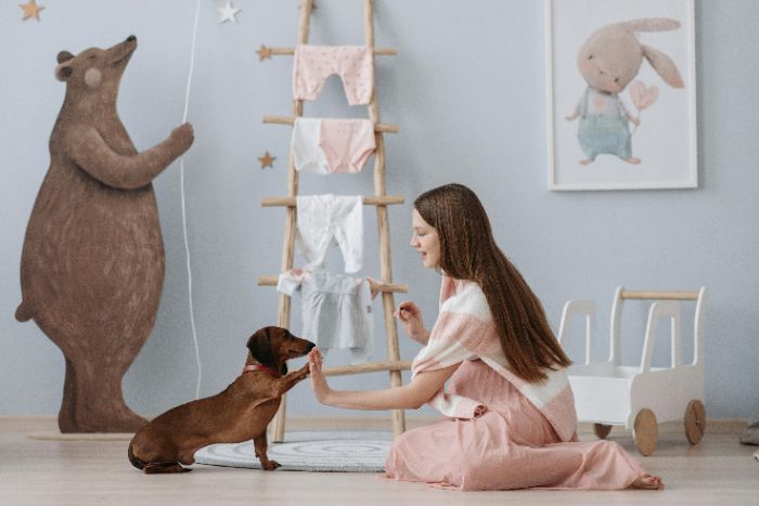 Transform Your Pets Behavior in Just Days!