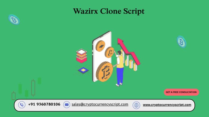WazirX clone script