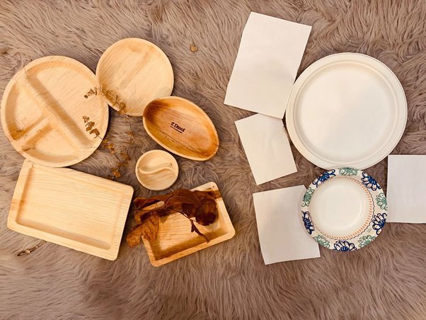 Areca Leaf Disposable Plates