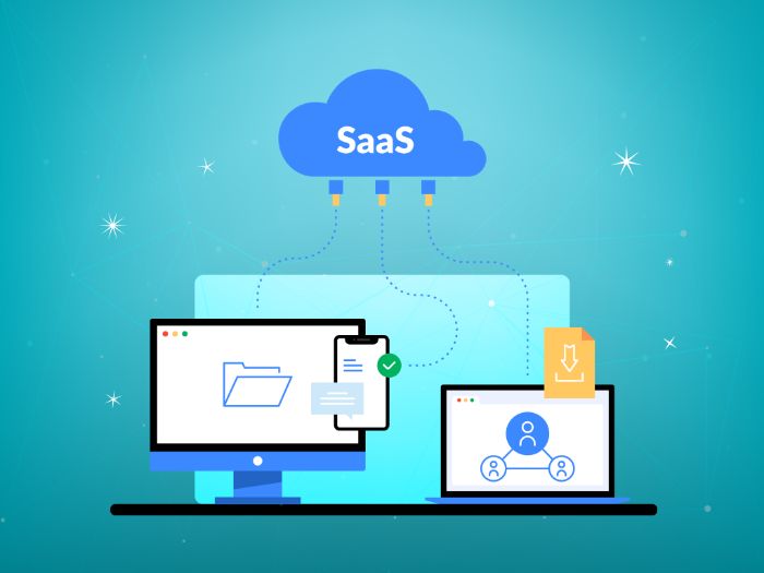 Custom Software Development Company in Mohali for Smart Solutions Sobonix