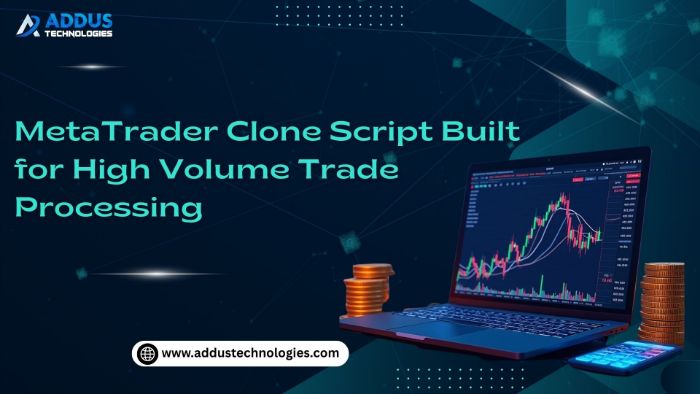 MetaTrader Clone Script Built for HighVolume Trade Processing