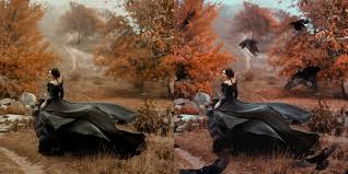 Photo manipulation service