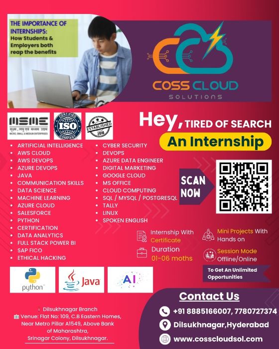 Software Internship