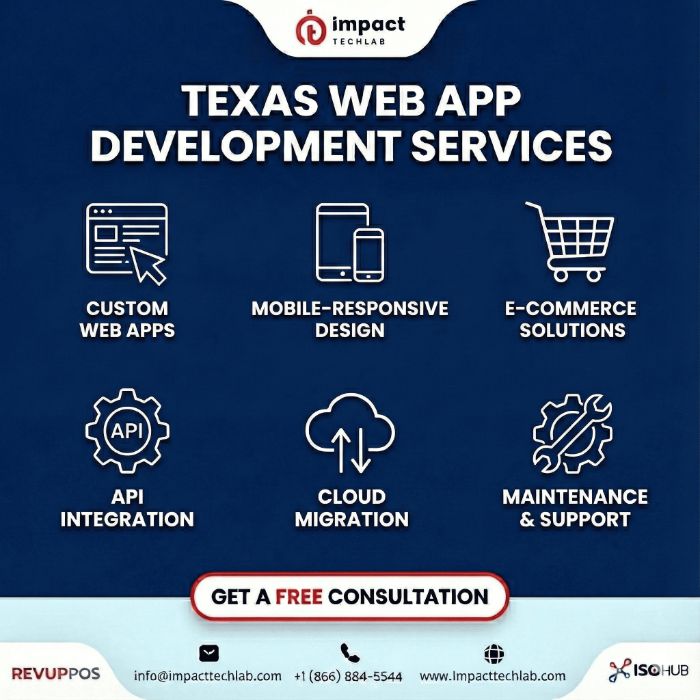 Texas Custom Web App Development service