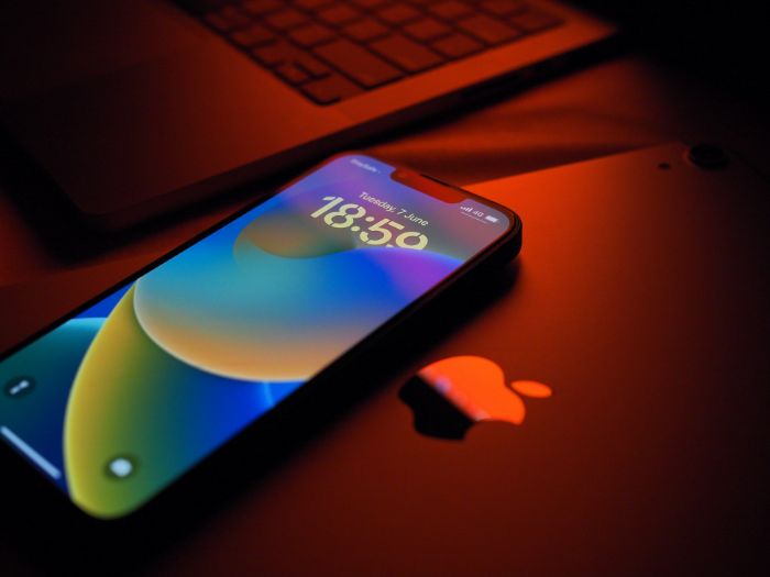 Top App Development Agencies in Australia Codechaps