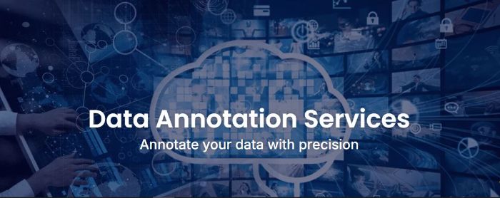 Data Annotation Services