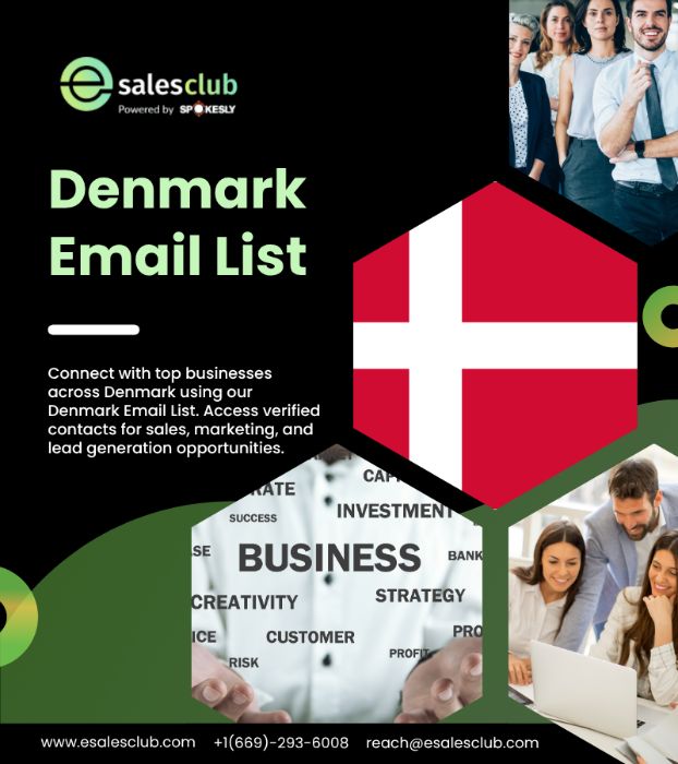HighQuality Denmark Professional Contacts Database